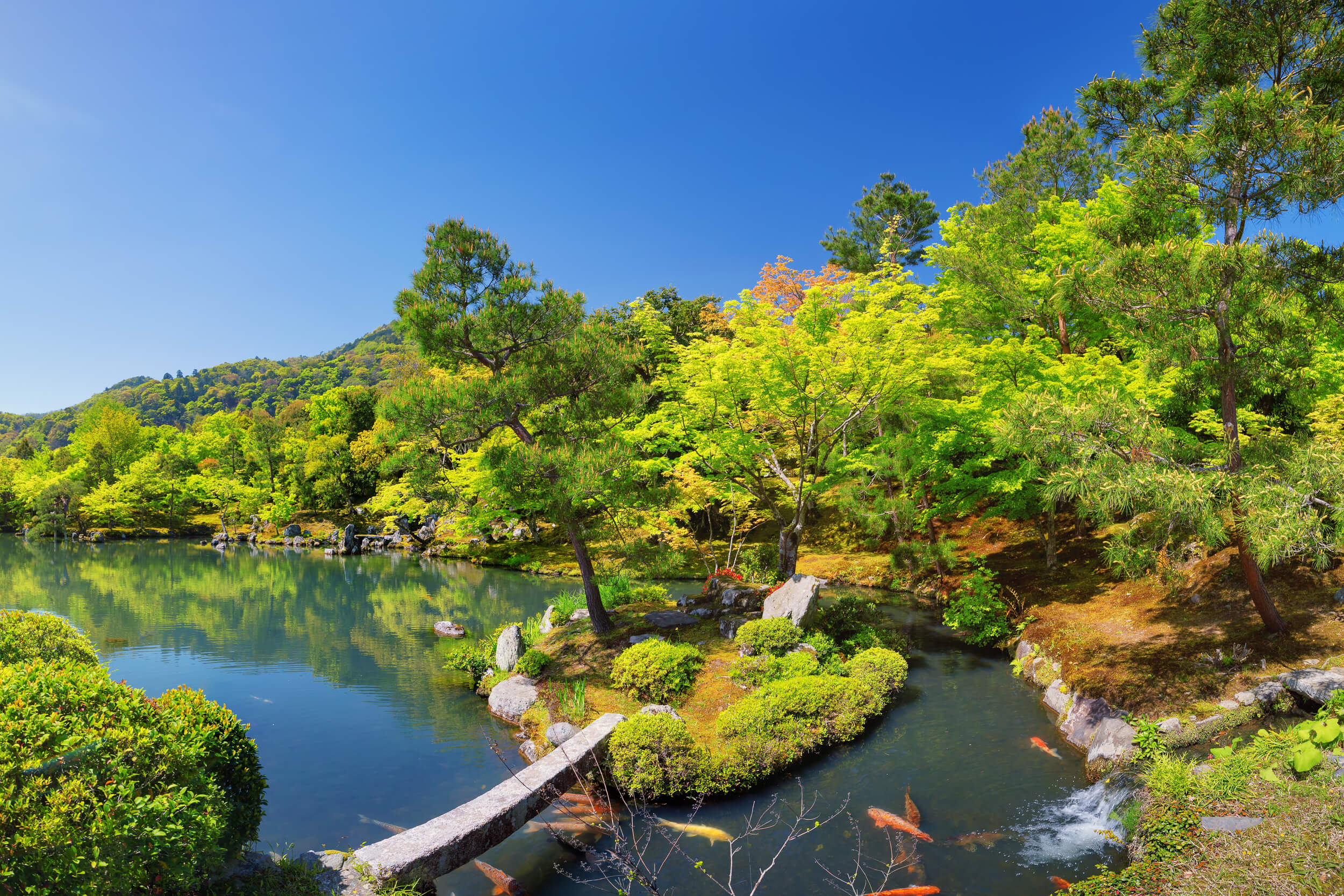 caparoda_leme_lider-0009-1080994838