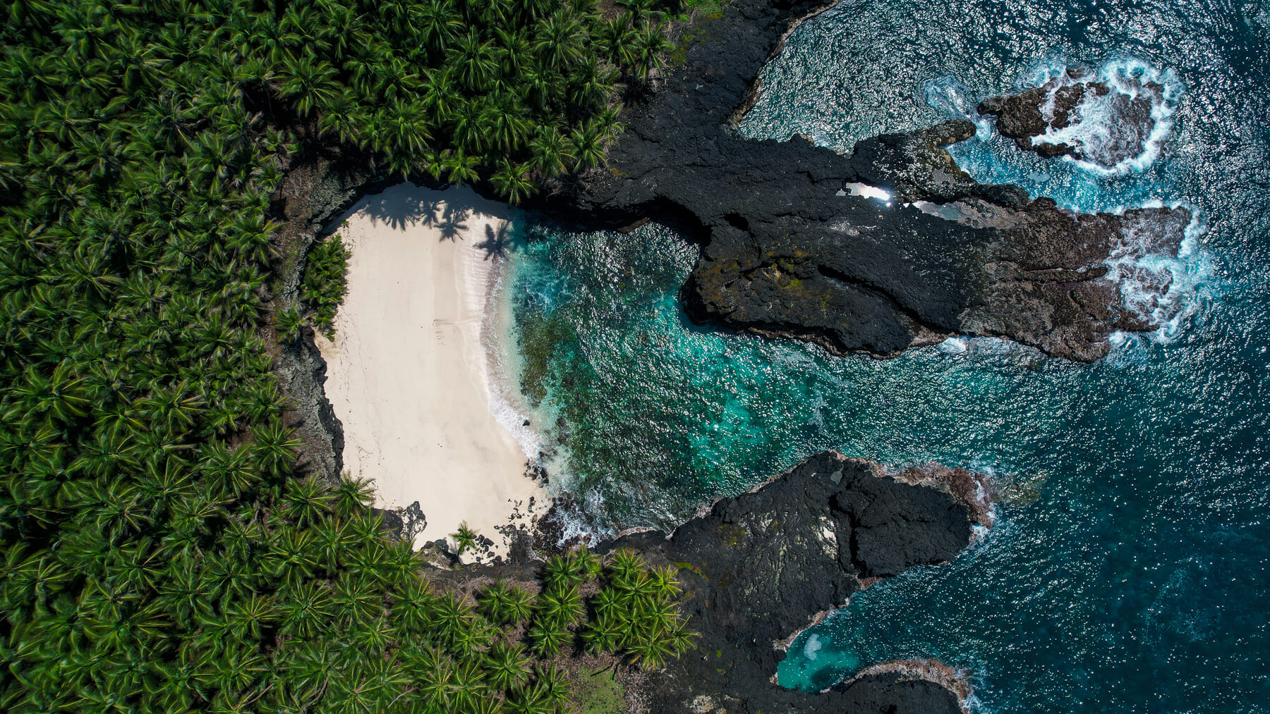 roda_leme_lider-0032-2085702823